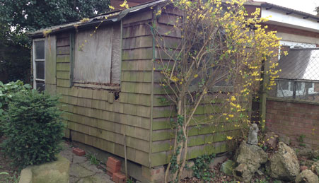 shed-removal-before